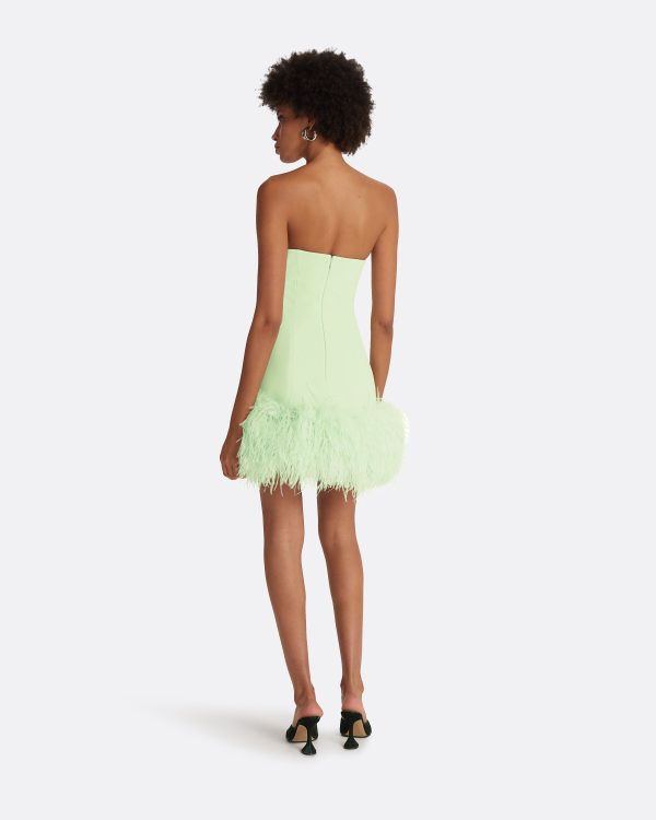 Rowan Aloe Feather-Trimmed Short Dress - Image 2