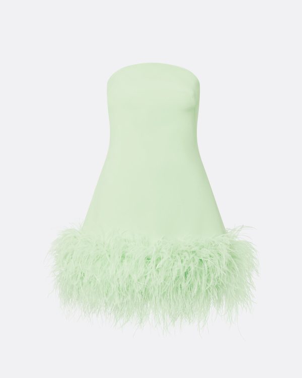 Rowan Aloe Feather-Trimmed Short Dress - Image 5