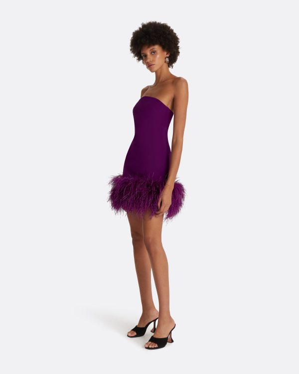 Rowan Currant Feather-Trimmed Short Dress - Image 4