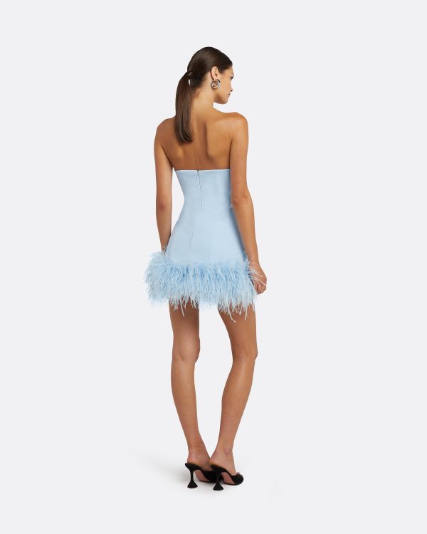 Rowan Pale Blue Feather-Trimmed Short Dress - Image 2