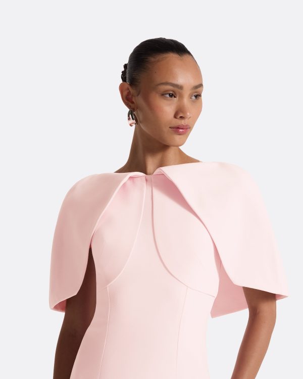 Barb Peony Blush Midi Dress - Image 3