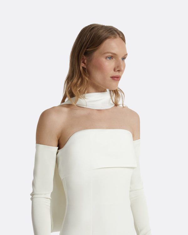 Roshana Ivory Long Dress - Image 3