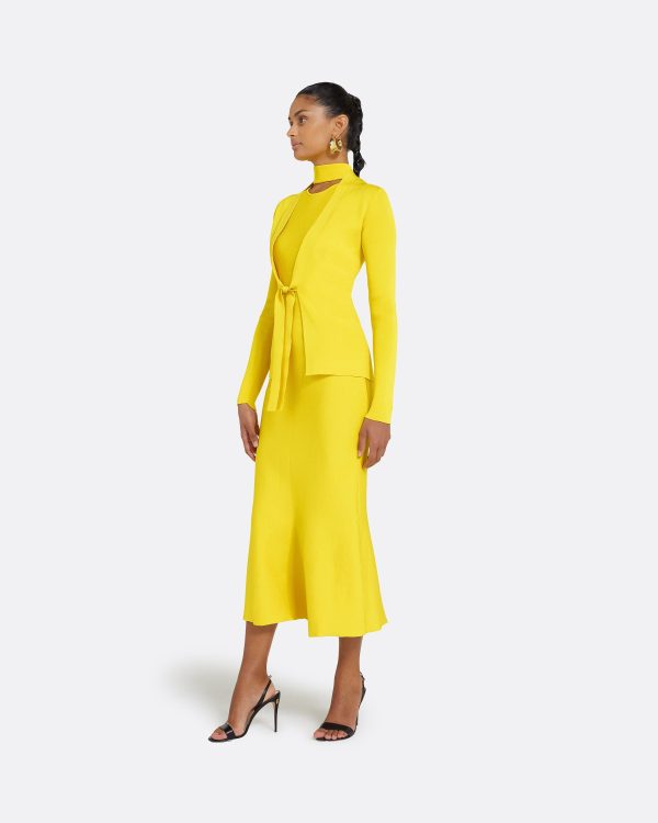 Mani Canary Knit Cardigan - Image 4
