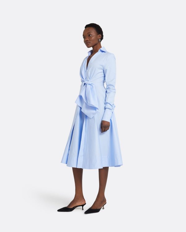 Asteria Soft Sky Cotton Dress - Image 4