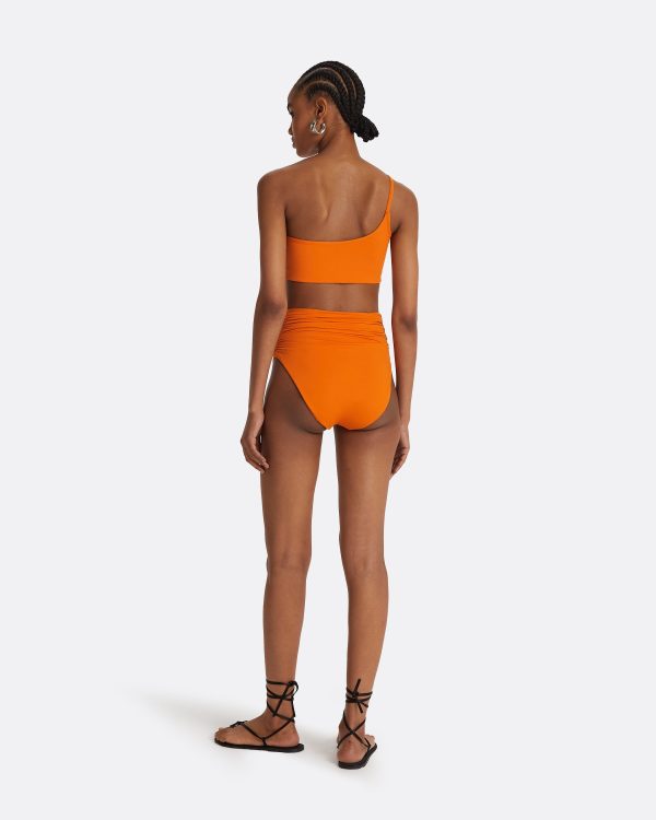 Ariella Seville Bikini Bottom - Image 2